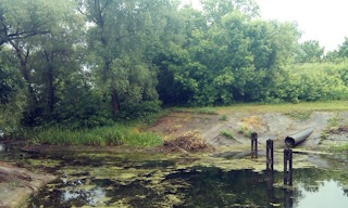 Экологические услуги от ПромМир-Днц в Одинцове - стоимость от 12427 руб.