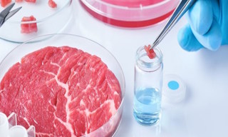 Лабораторный анализ пищевых продуктов по СанПиН в Одинцове в октябре