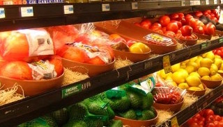 Сертификация пищевой продукции в Одинцове – цена от 10356 руб. | ПромМир-Днц