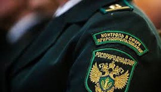 Подготовка к проверке Росприроднадзора в Одинцове от ПромМир-Днц, стоимость услуги от 20712 руб.
